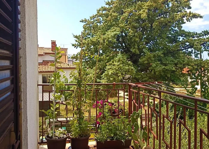 Laura Apartament *