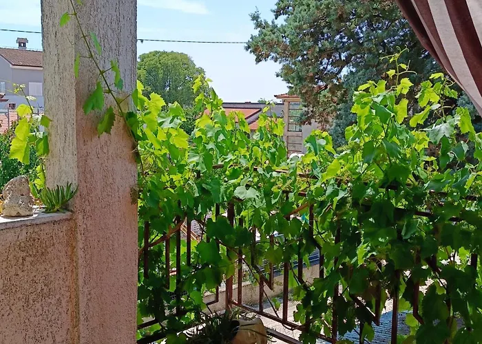 Laura Apartament *