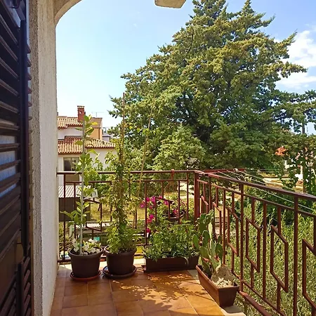 Laura Apartment *