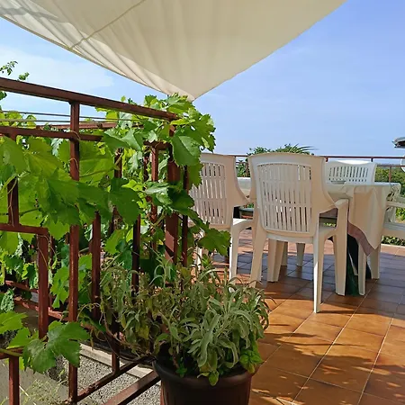 Apartment Laura Pula
